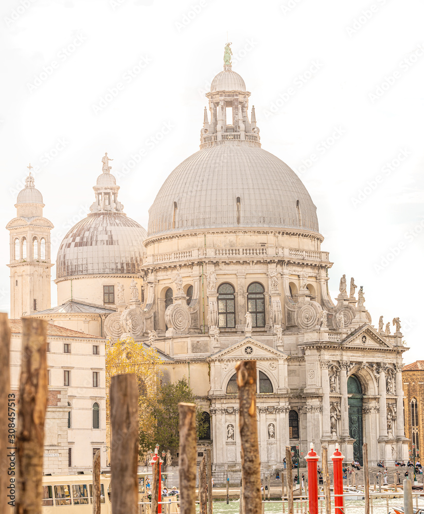 Basilica di Santa Maria della Salute at Grand Canal at direct light and no sky, Venice, Italy, summer time, details