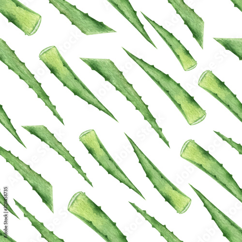 Watercolor vector seamless pattern with green aloe leaves. photo