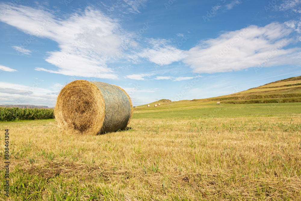 Rollos redondos de paja en paisaje agrícola con cielo azul y nubes