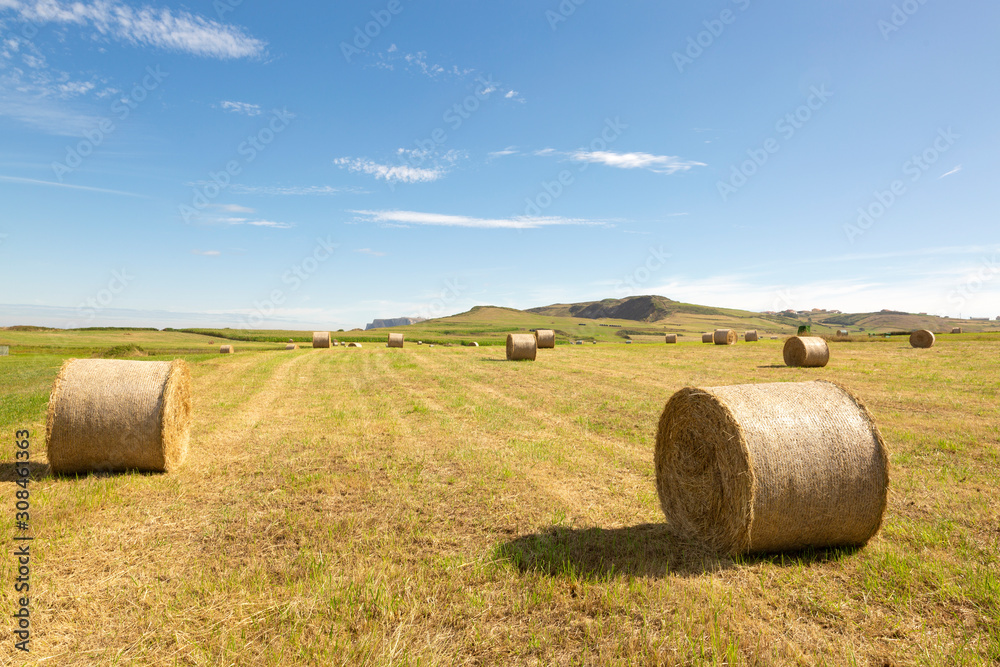 Rollos redondos de paja en paisaje agrícola con cielo azul y nubes