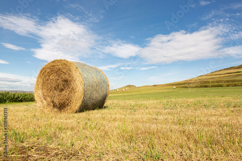 Rollos redondos de paja en paisaje agrícola con cielo azul y nubes