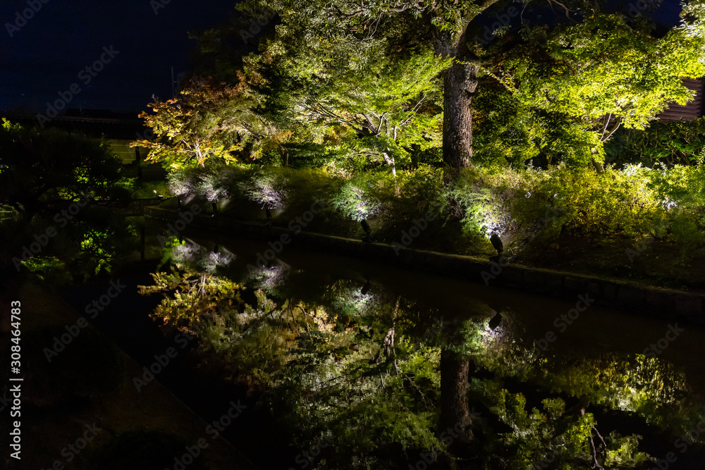 Obraz premium 京都の東寺と紅葉の夜景
