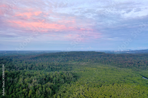 Aerial view foggy and misty morning green landscape of tropical mangroves and Borneo Rain Forest in Sabah Borneo  Malaysia. Sustainable and biodiversity mangrove forest reserve.