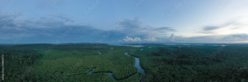 Aerial view of mangroves