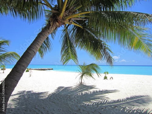 Fototapeta Naklejka Na Ścianę i Meble -  blue sky, turquoise sea and palm trees for the typical Maldivian landscape