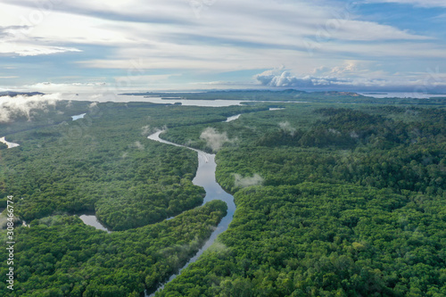 Aerial view the boat cross the river of green landscape tropical mangroves and the river across in Sabah Borneo, Malaysia. Sustainable and biodiversity mangrove forest reserve.