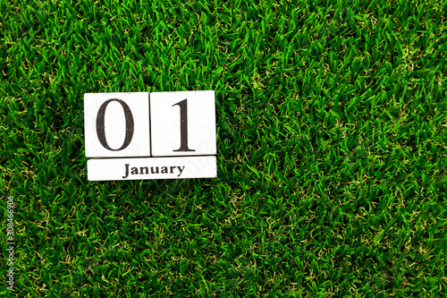 01 january alphabet on wooden calendar block  on green grass photo