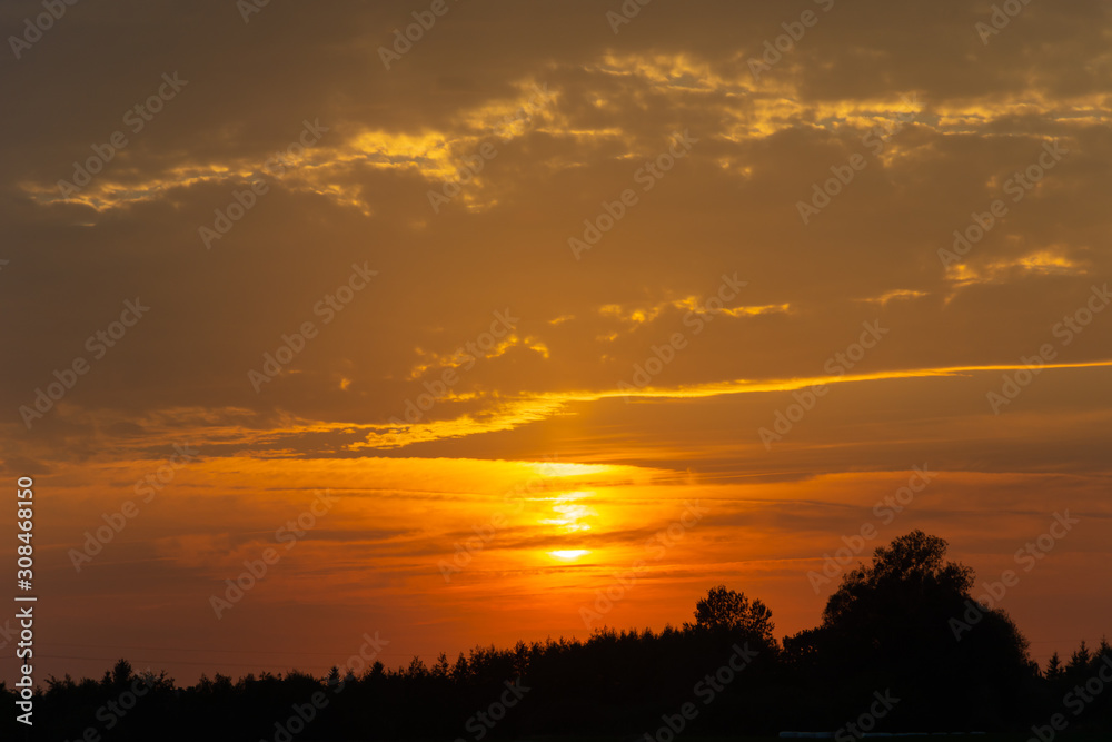 Orange sunset behind the clouds and black silhouettes of trees
