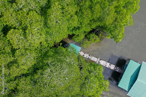 Aerial view the house with green landscape of tropical mangroves and the river across in Sabah Borneo, Malaysia. Sustainable and biodiversity mangrove forest reserve.