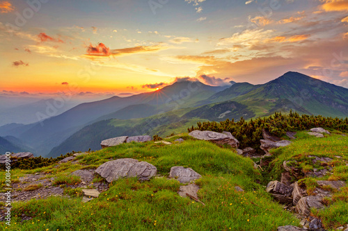 Canvas Print Alpine meadow in beautiful Rodna mountains in Romania