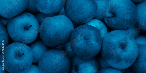 Background blank layout with scattered apples tinted in trendy blue classic color 2020. Copyspace. photo