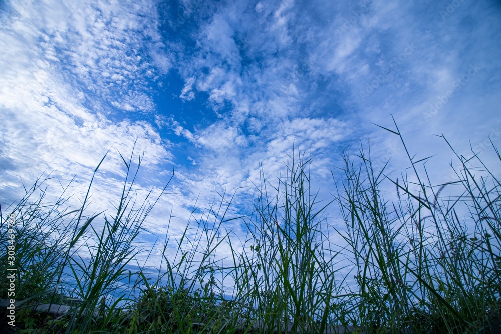 Obraz premium blue sky