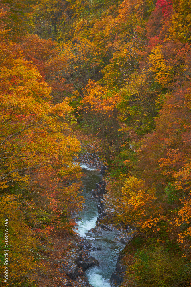 colorful hill of autumn season in fukushima japan colorful hill of autumn season in fukushima japan