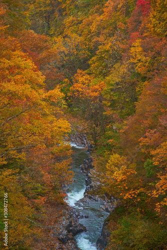 colorful hill of autumn season in fukushima japan