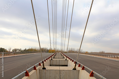 Bridge cable-stayed cable