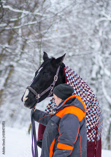 German horse and happy woman on a background of snowy winter forest