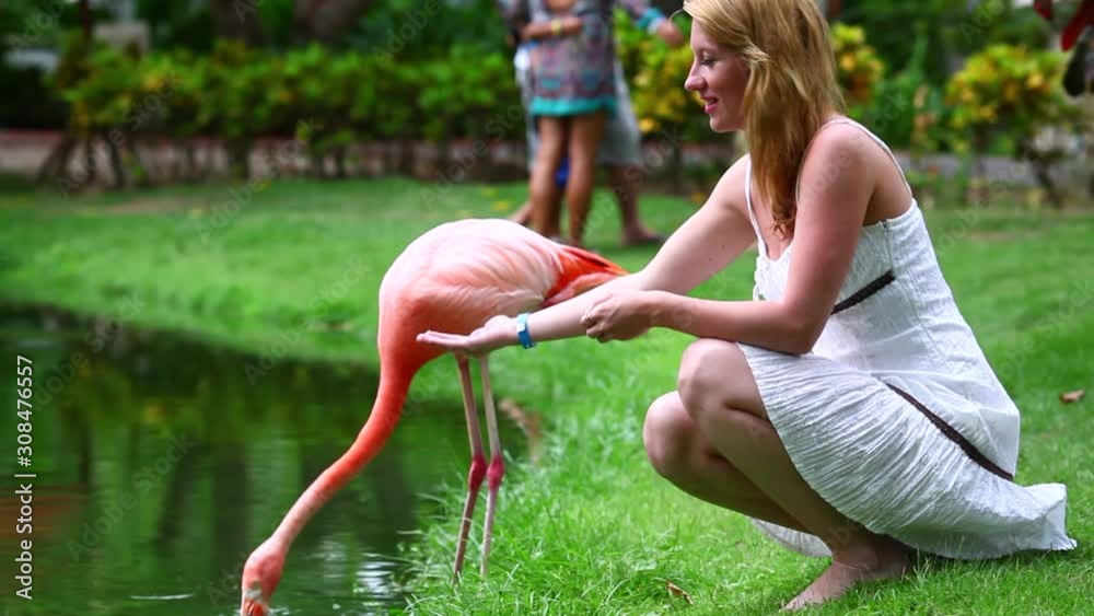 happy young woman feeding pink flamingo birds on the lake