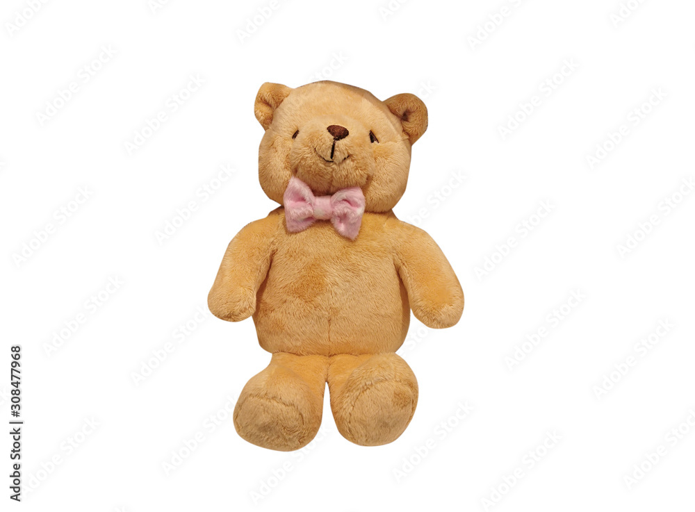 Fototapeta premium Miś na białym tle.