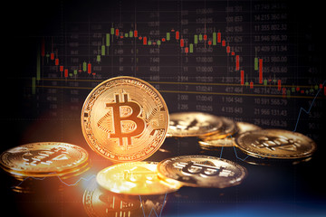 Bitcoin cryptocurrency, virtual money concept