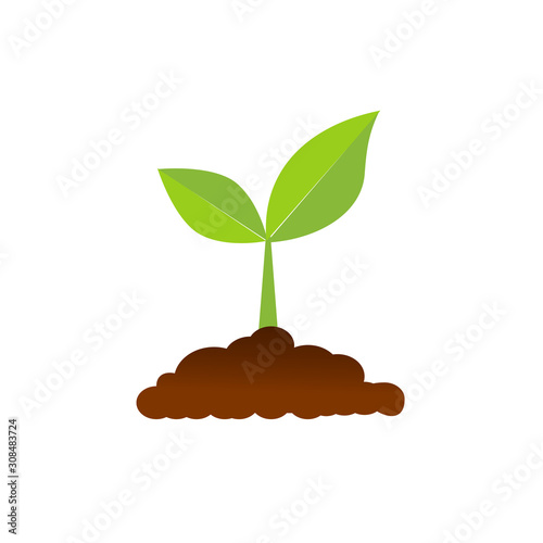 The tree that grows from seed is a big tree with green color and the seedlings grow into a big tree. Vector illustration