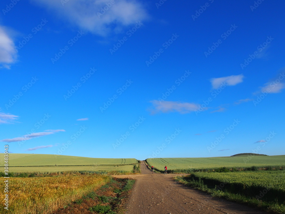 Pilgrims with beautiful landscape on the road to Santiago de Compostela, Camino de Santiago, Way of St. James, Journey from Granon to Tosantos, French way, Spain
