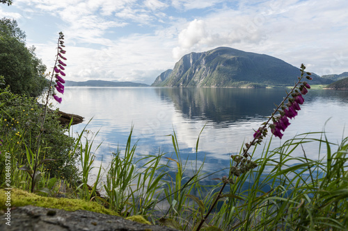 Sommer am Romsdalsfjord, Mandalen, Norwegen photo