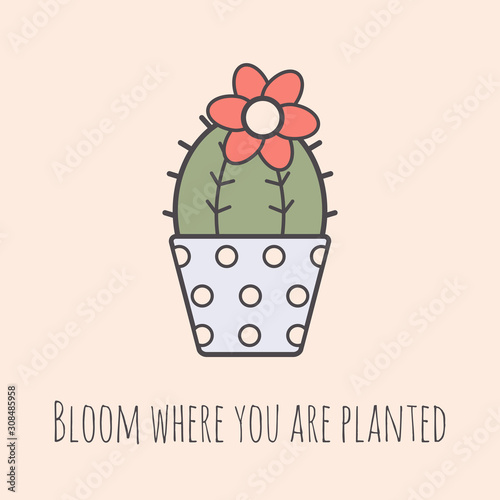 Flower quote. Bloom where you are planted. Cactus plant with flower bloom in pot. Motivational phrase. Greeting card. Cartoon style, simple flat design. Trendy illustration. Good for print
