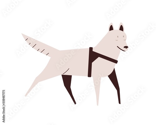 Blind dog flat vector illustration