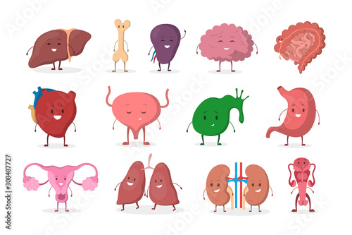 Internal human organ with funny faces set. Anatomy and biology concept.