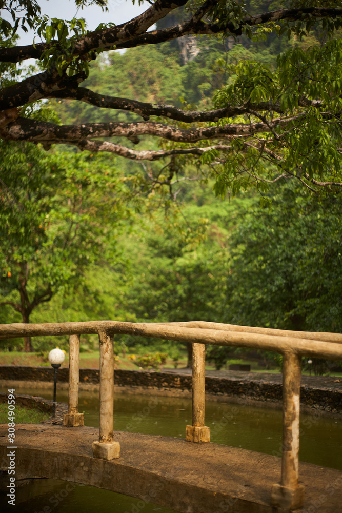 Small bridge in the middle of the forest Small bridge in the middle of the forest
