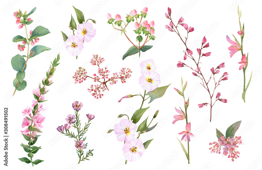 Hand drawn watercolor set with pink bloomy branches, herbs and leaves isolated on a white background. Ideal for creating invitations, greeting cards. Floral illustration. Watercolor botanic collection Hand drawn watercolor set with pink bloomy branches, herbs and leaves isolated on a white background. Ideal for creating invitations, greeting cards. Floral illustration. Watercolor botanic collection