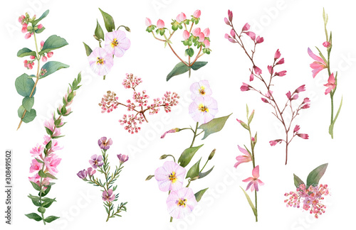 Vászonkép Hand drawn watercolor set with pink bloomy branches, herbs and leaves isolated on a white background