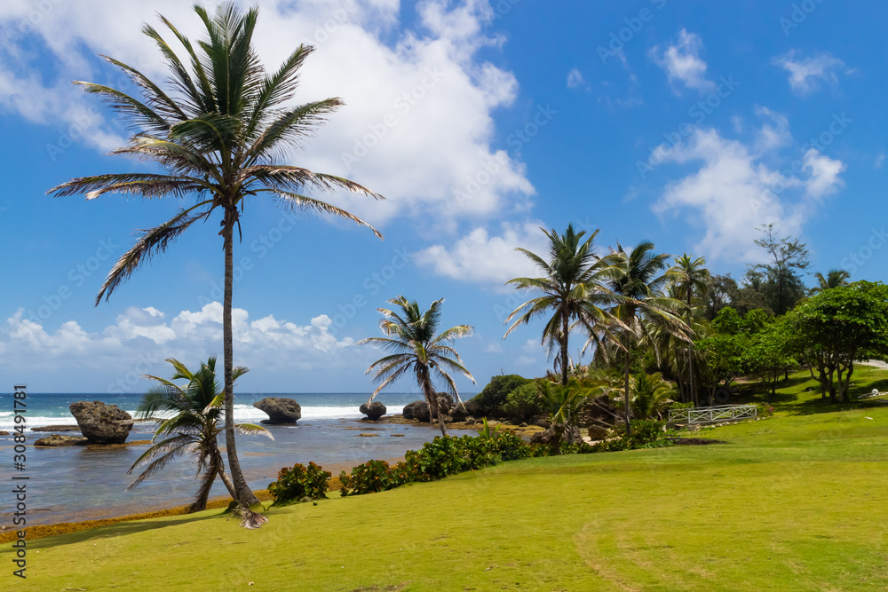 Bathsheba / Barbados - 04 12 2019: Beach at Bathsheba, Barbados Bathsheba / Barbados - 04 12 2019: Beach at Bathsheba, Barbados