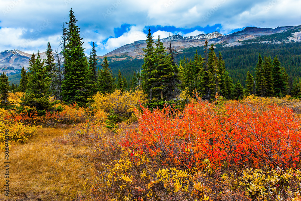 The autumn Rocky Mountains