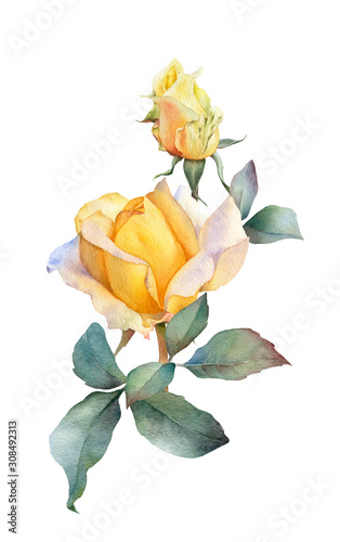 Hand drawn watercolor arrangement with picturesque yellow rose flower,  rosebud and green leaves isolated on a white background. Floral illustration for wedding invitations, greeting cards photo