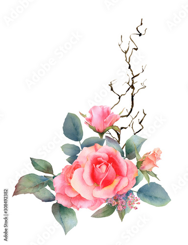 Hand drawn watercolor arrangement with picturesque pink roses  rosebuds  leaves and curly branch isolated on a white background.Floral botanical illustration for wedding invitations  cards patterns