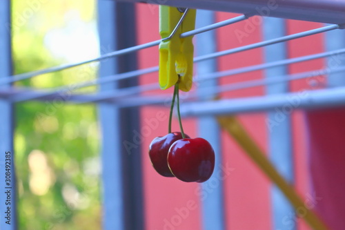 Dark red sweet cherry hanging on a clothespin.