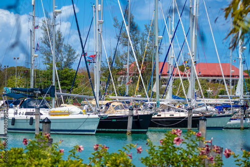 Obraz na płótnie Jolly Harbour, St. Mary / Antigua - 05 15 2018: View of Yachts in Jolly Harbour, Antigua w salonie