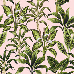 Wandcirkels Botanische print patronen Vintage botanische jungle op roze  © good_mood
