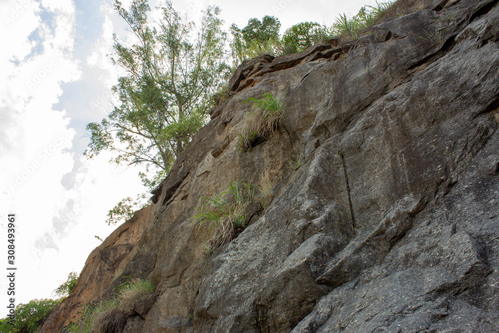 A rock wall, used for climbing, as seen from below, with trees on top of it and a bright sun in the sky