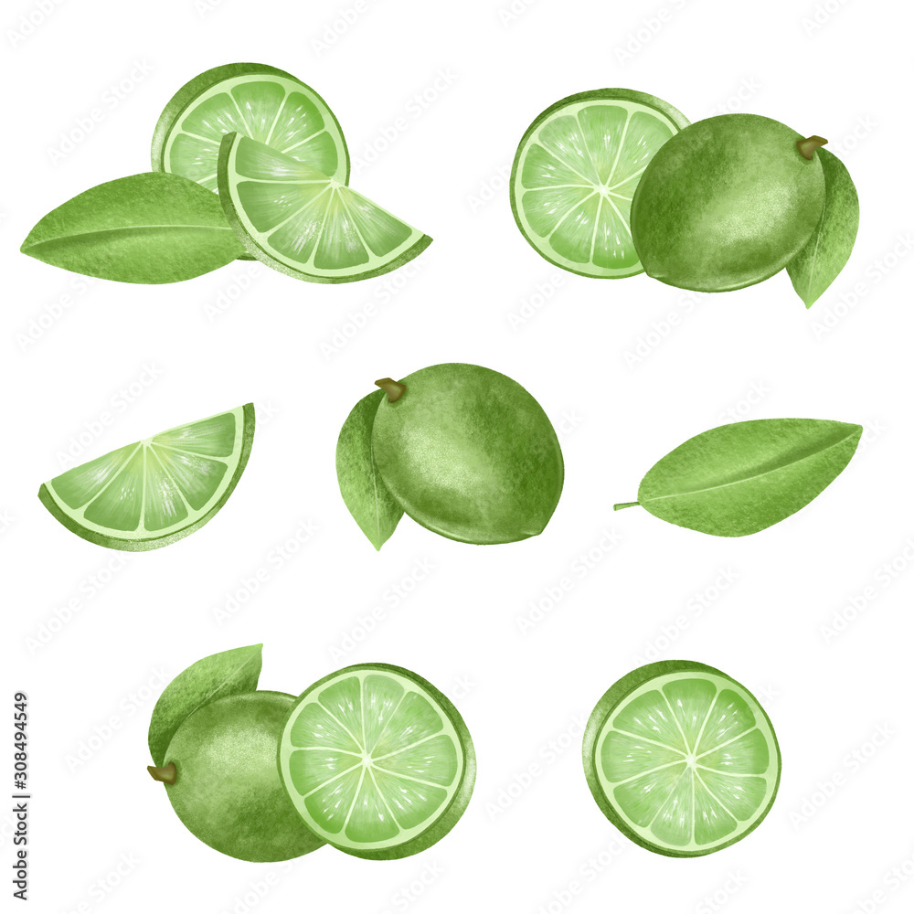 Set of hand drawn isolated limes illustration on a white background