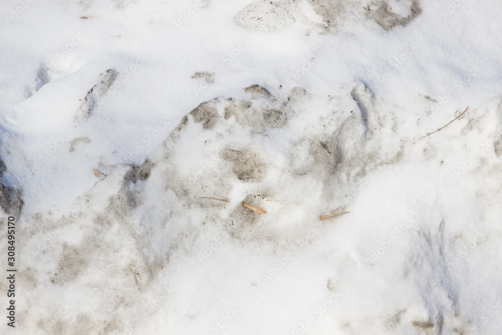 A little melted dirty snow as a background A little melted dirty snow as a background