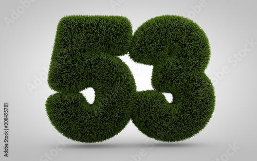 Green grass number 53 isolated on white background