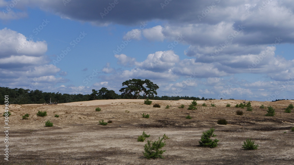 nature diversity nature diversity