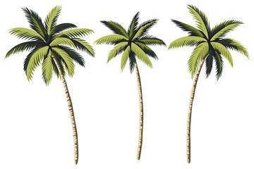 Wandcirkels Botanische print patronen Tropische vintage palmbomen botanische illustratie  © good_mood