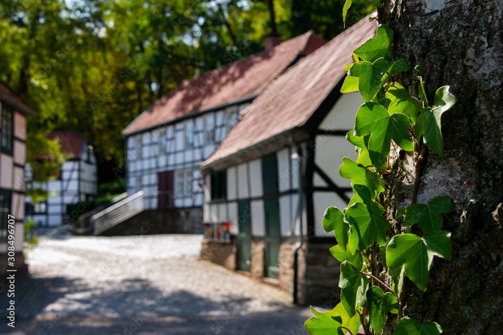Efeu Historische Fabrikanlage Maste-Barendorf Iserlohn Sauerland Fachwerk Museum öffentlich historisch Geschicht Eisen Draht Nadeln Baarbach Iserlohnerheide Kultur Ausflugsziel Efeu Historische Fabrikanlage Maste-Barendorf Iserlohn Sauerland Fachwerk Museum öffentlich historisch Geschicht Eisen Draht Nadeln Baarbach Iserlohnerheide Kultur Ausflugsziel