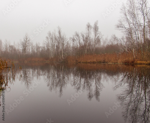 Rural forest and water landscape. Reflection in the water of trees. Dark autumn sky, rainy weather. 