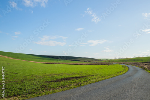 View of the main road leading to vineyards and farms in the Svatoborice region of Moravian Tuscany during a sunny autumn day in the background a blue sky full of clouds.