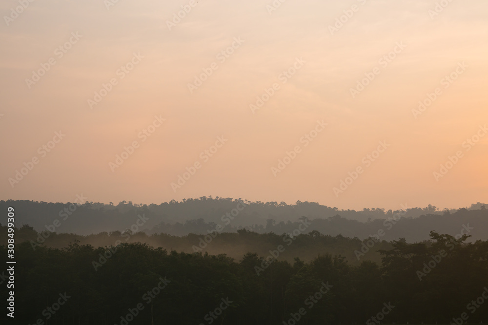 Trees in the morning while the sun is shining in the morning light at Jedkod-Pongkonsao Natural Study in Saraburi Thailand