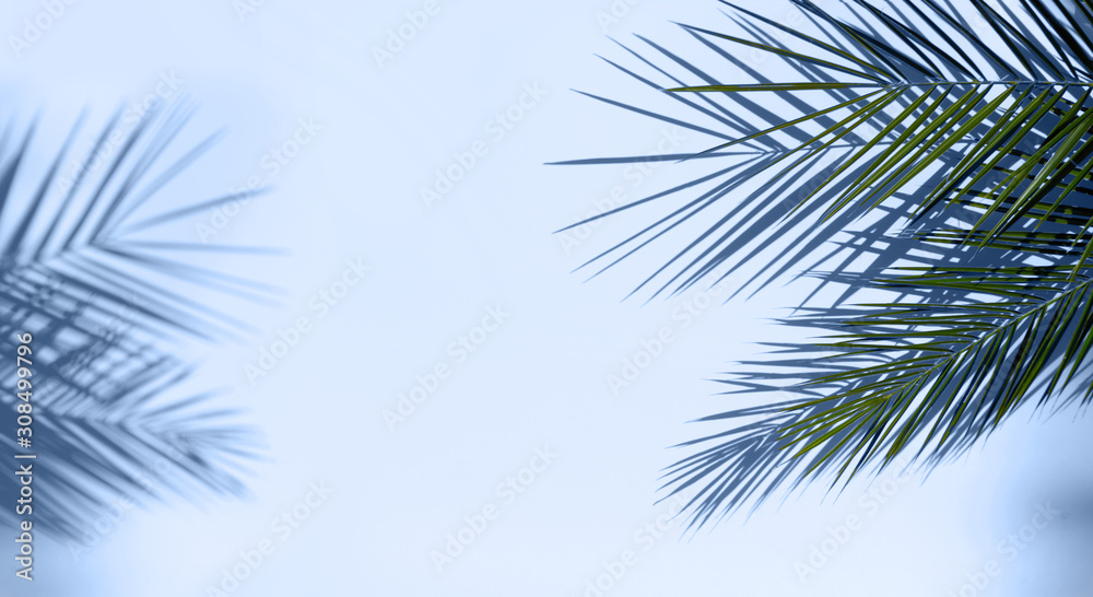 Summer flat lay scenery Summer flat lay scenery